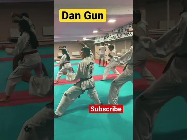 Dan Gun Tull ITF TaekwonDo#short