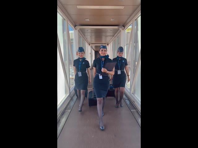 Girl Power | Cabin Crew | IndiGo 6E