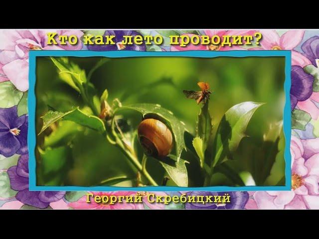 Кто как лето проводит? Г. Скребицкий (аудиосказка для детей)