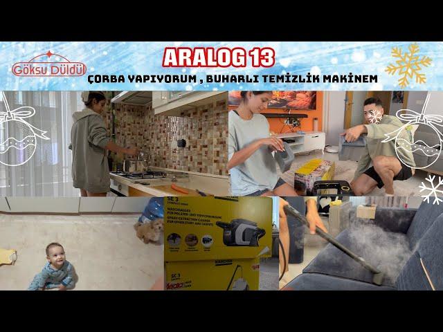 Aralog 2024 #13 | Karcher Buharlı Temizlik Makinesi ve Sulu Koltuk Yıkama Makinesi Kutu Açılımı 