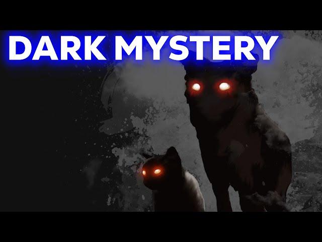 Dark Mystery -Tim Heinrich (Musik)