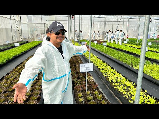 Denso Philippines - automotive parts manufacturing, nasa Smart farming narin!