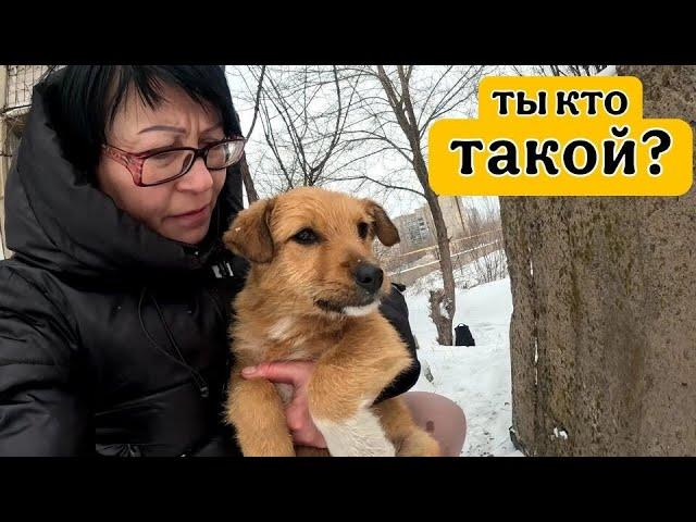 НАГЛОСТЬ второе СЧАСТЬЕ / Ты кто и откуда? / Курочка встала - место пропало...