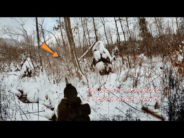 Tracking the BIGGEST Buck I’ve EVER Seen ~ A True Maine Giant! 