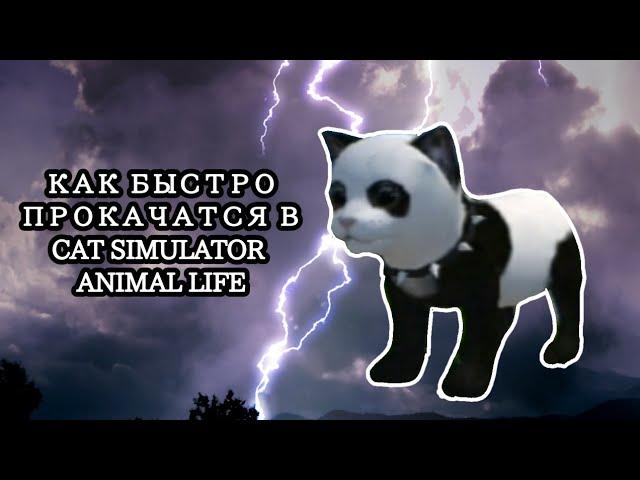 Как быстро ПРОКАЧАТСЯ в CAT SIMULATOR ANIMAL LIFE