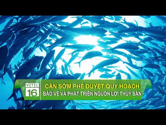 Cần sớm phê duyệt quy hoạch bảo vệ và phát triển nguồn lợi thủy sản | VTC16