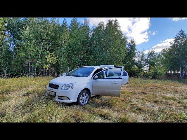 Chevrolet nexia/ датчик давления в шинах  / Иммобилайзер / возможные причины