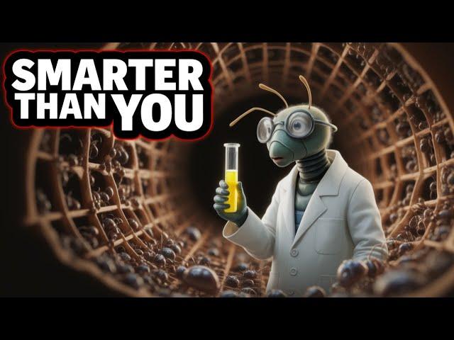 THE ANT CIVILIZATION: 10 QUADRILLION STRONG & SMARTER THAN YOU THINK