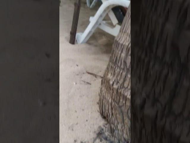 20190119_104114.mp4