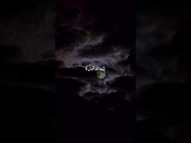 #allah #islam #islamicstatus #quran #foryou #islamic #explore #viral #viralvideo#love #views #shorts