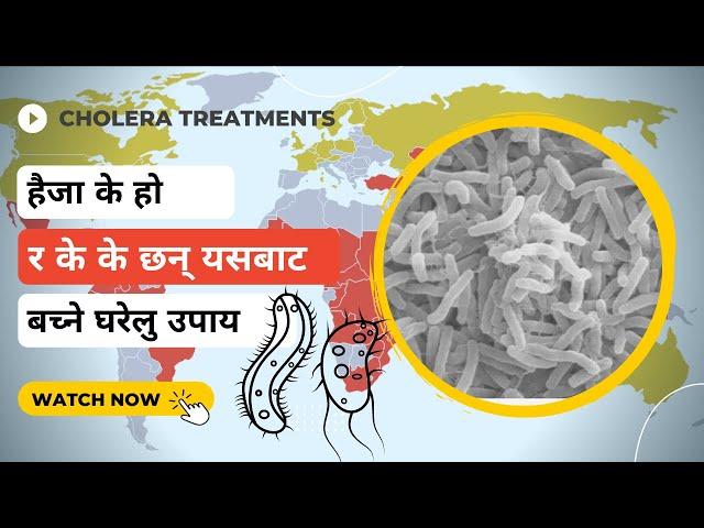 What Is Cholera and what are the symptoms and Home treatments || Haija Ko gharelu Upachar || Herbal