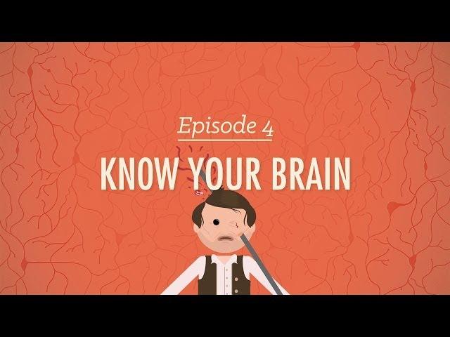 Meet Your Master - Getting to Know Your Brain: Crash Course Psychology #4