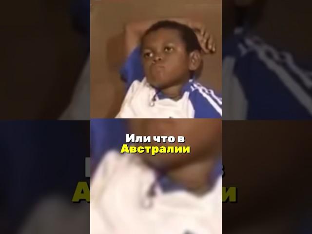 Тупые странные Законы