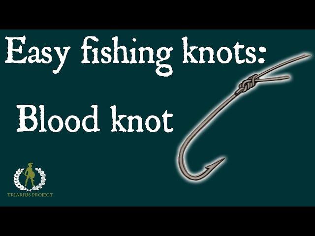Easy fishing knots for beginners: locked half blood knot