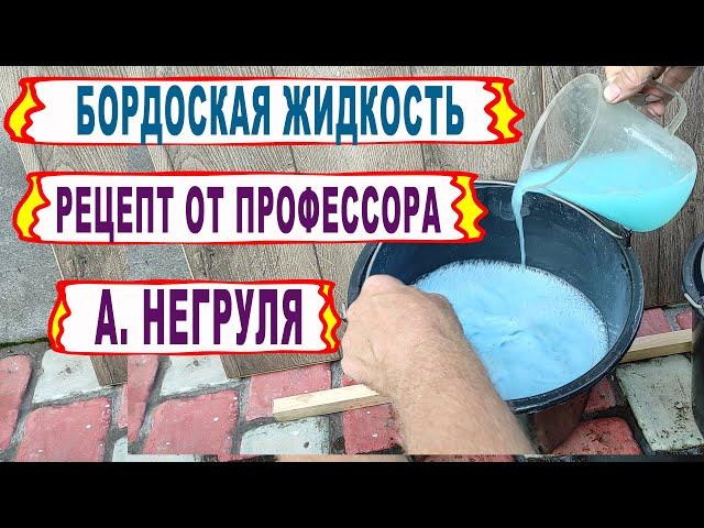  Настоящая БОРДОСКАЯ ЖИДКОСТЬ от профессора НЕГРУЛЯ. А ты тоже всю жизнь делал ее НЕПРАВИЛЬНО?