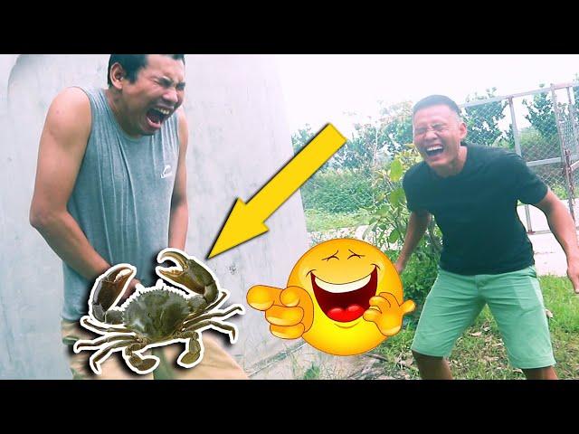 Try Not To Laugh with 46 Minutes Comedy Videos - Best Compilation from Lol Troll - Ep 88