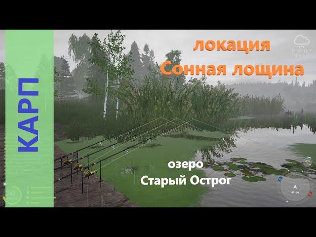 Русская рыбалка 4 - озеро Старый Острог - Карп с мостика