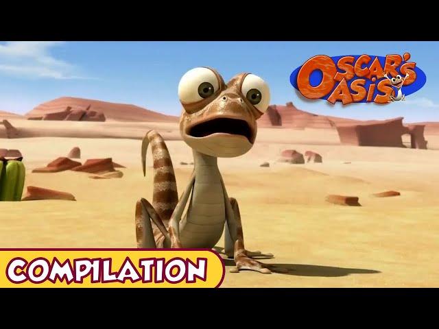 Oscar's Oasis - January COMPILATION