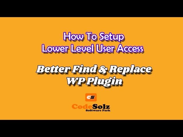 How to setup lower level access for the plugin - Better find and replace - WordPress Plugin