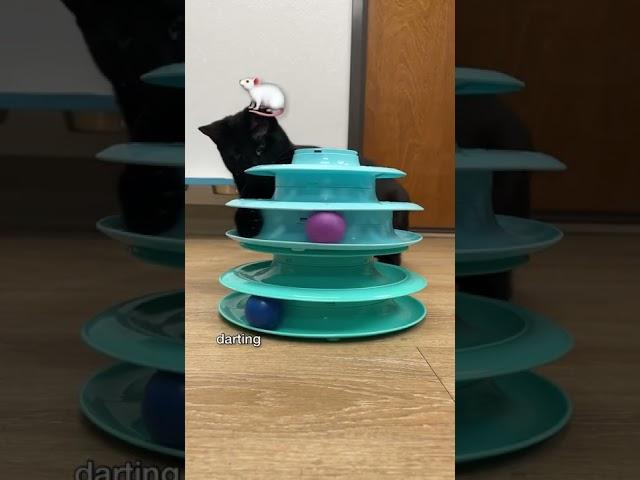 Cat toys that mimic prey