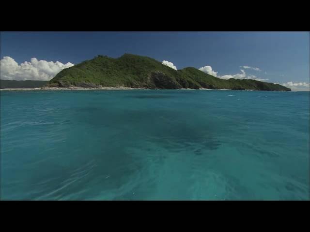 [10 Hours] Tropical Boat Ride [HD] SlowTV