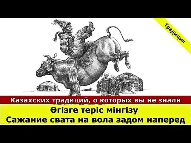 Өгізге теріс мінгізу – Сажание свата на вола задом наперед