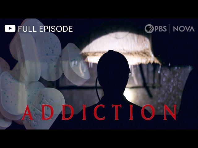 Addiction I Full Documentary I NOVA I PBS