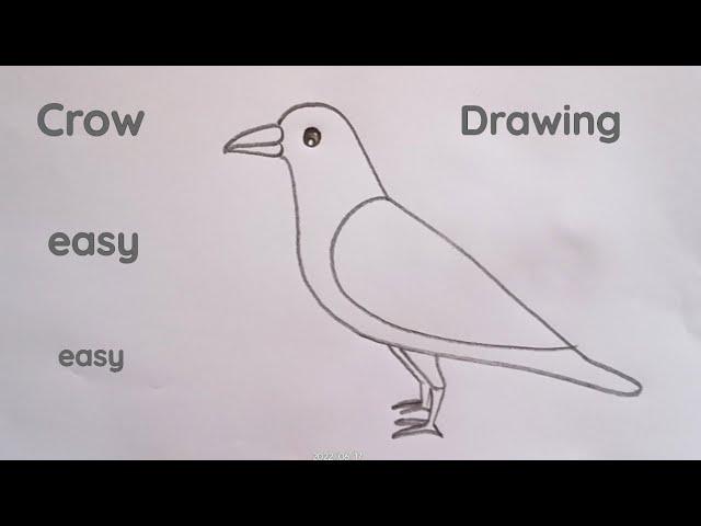 how to draw crow drawing easy easy easy step by step@DrawingTalent