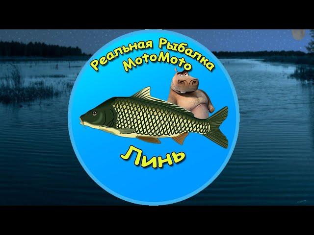 Как поймать Линя на Рыбхозе [NEW] | Реальная Рыбалка