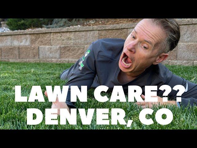 How To Choose A Lawn Care Company In Denver Colorado