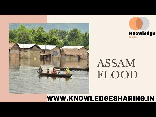 Assam is Drowning- Flood affected 40 lakhs people with Animals | knowledgesharing