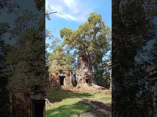 Koh Ker temple in Cambodia  #guides #siemreap