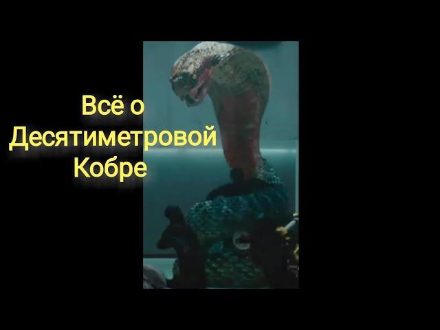 Всё о Десятиметровой Кобре показанной в фильме Хижина В лесу