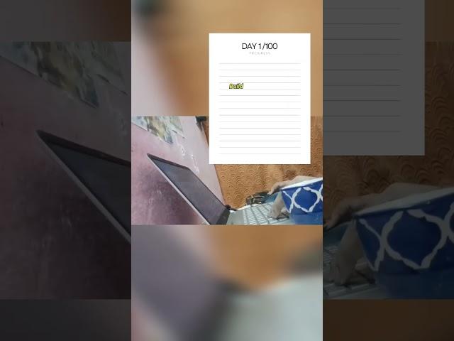 My Journey as a Flutter Developer: Day 1/100
