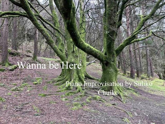 A Day in the Forest  / Original Piano Composition by Suliko Chuiko