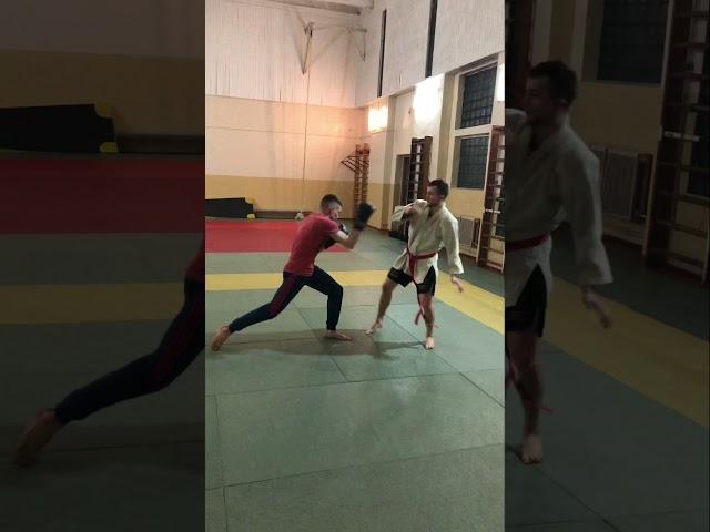 Boxing VS Karate. Who is stronger??