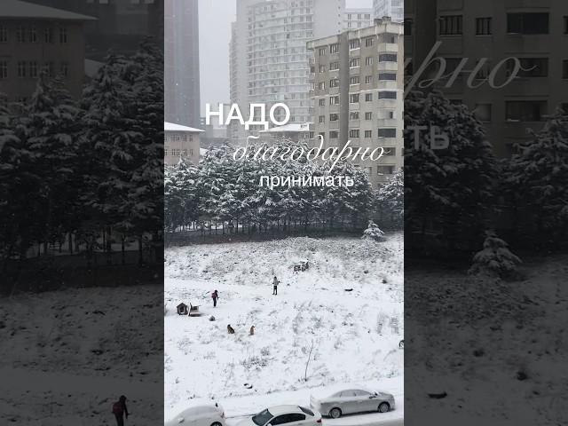в Стамбуле выпал долгожданный снег ️ #жизньвтурции #стамбул#shorts#
