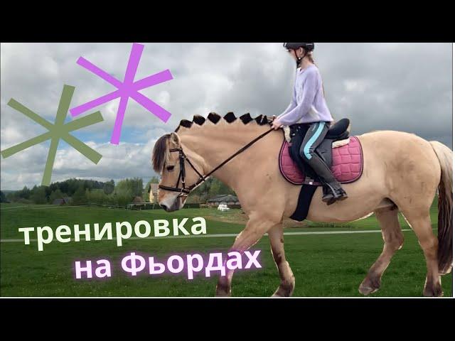 Поехала на тренировку к лошадям Фъордской породы! Конный спорт лошади 