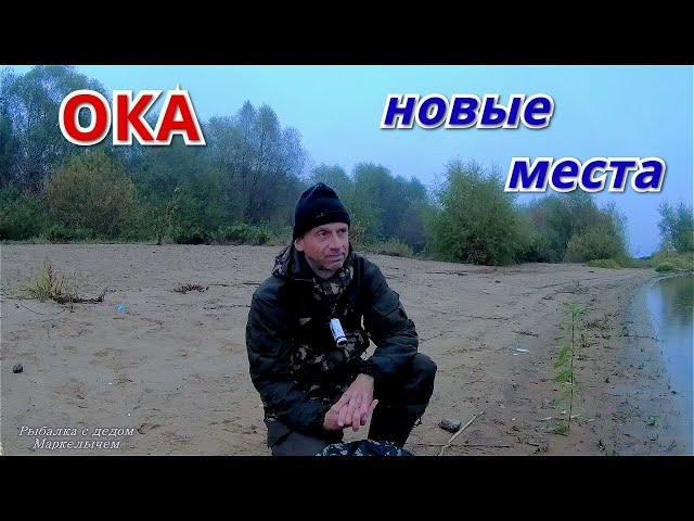 Где же НАЛИМ? Рыбалка на спиннинг и донки на ОКЕ. Октябрь 2021.