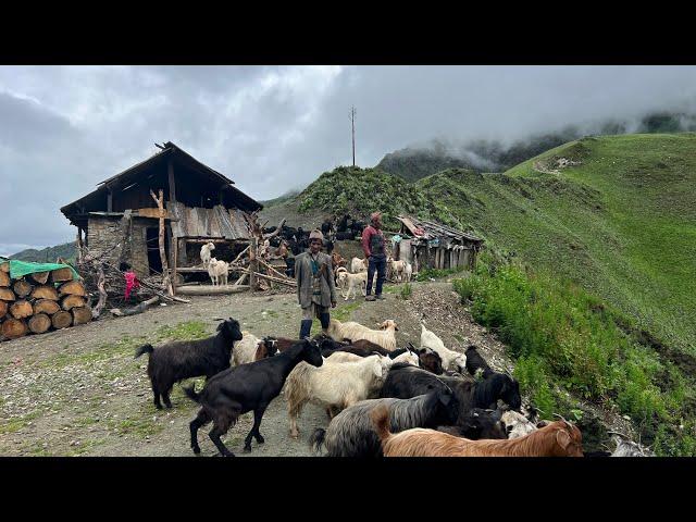 Discovering the Secrets of Living in Balance with Nature in Nepal: Nepali Mountain Life || IamSuman