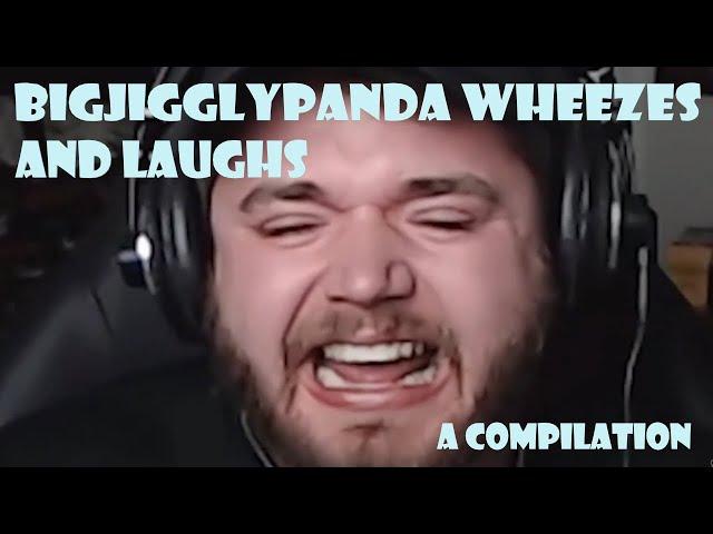 ​ A BigJigglyPanda Wheeze Compilation