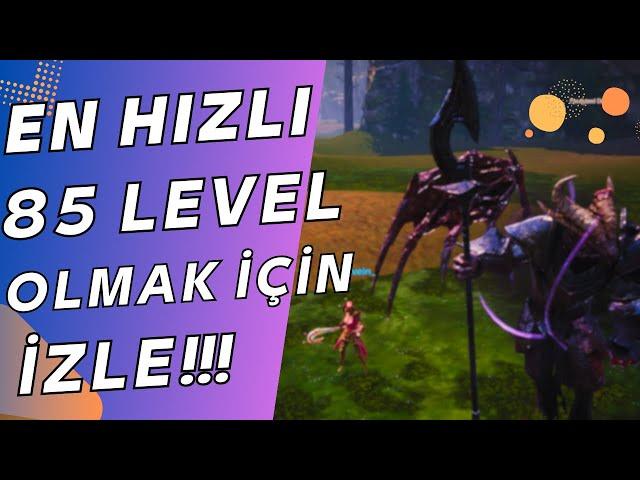 IŞIK HIZINDA 85 LEVEL OLMA REHBERİ!!! | TÜM DETAYLAR TEK VİDEO | Rise Online