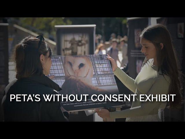 PETA’s Without Consent Exhibit Documents History of Exploitation of Animals in U.S. Laboratories