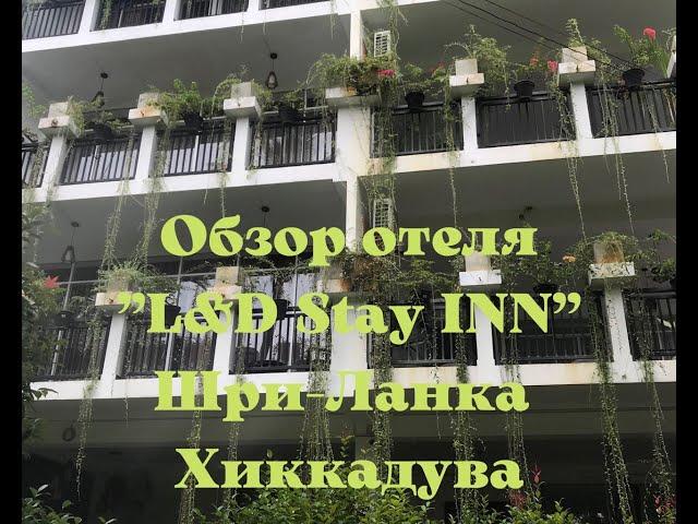 Обзор отеля "L&D Stay INN"  в Хиккадуве. Шри-Ланка.