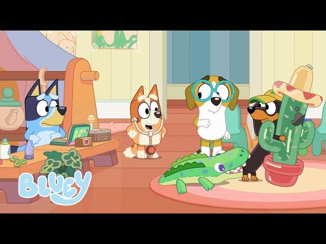  EN VIVO: Bluey y Amigos | Bluey