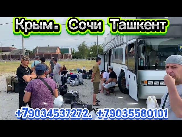 Ташкент Краснодар #Ташкент Краснодар автобус#Krasnodar Tashkent#Краснодар Ташкент автобус#краснодар