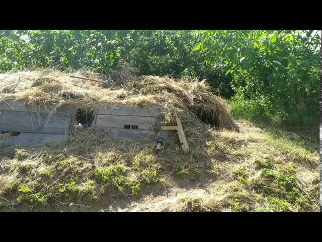 Шалаш/блиндаж из дерева и растительности