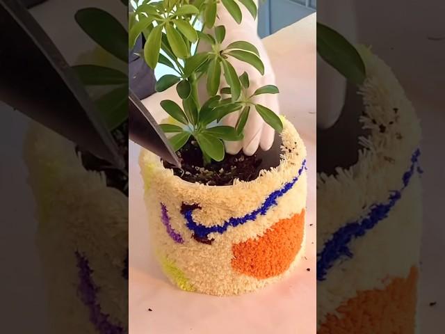 #어몽뎀#터프팅 #컬러팟#식물 #봄 #홍콩야자#인테리어