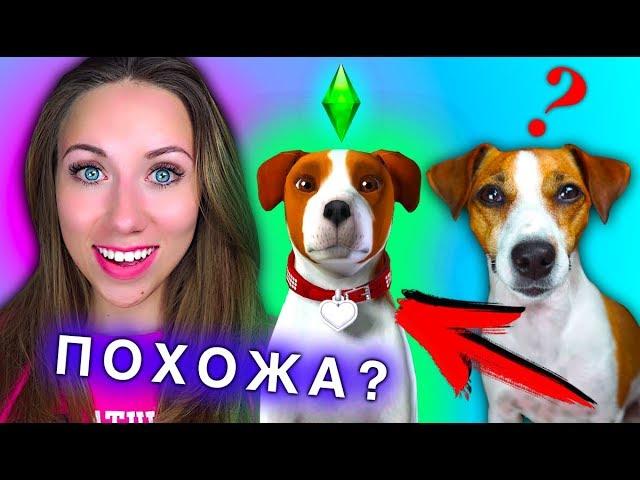 СДЕЛАЛА ДЖИНУ в СИМС 3 ПИТОМЦЫ ФАКТЫ О МОЕЙ СОБАКЕ ИГРАЕМ | Elli Di Pets