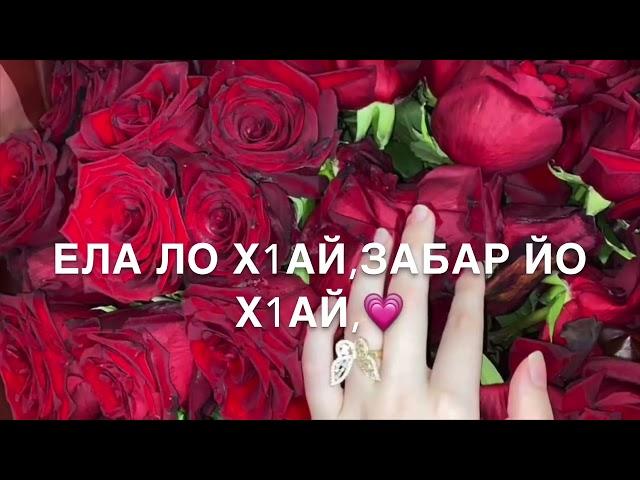 Дала декъал йойла(шуточная)